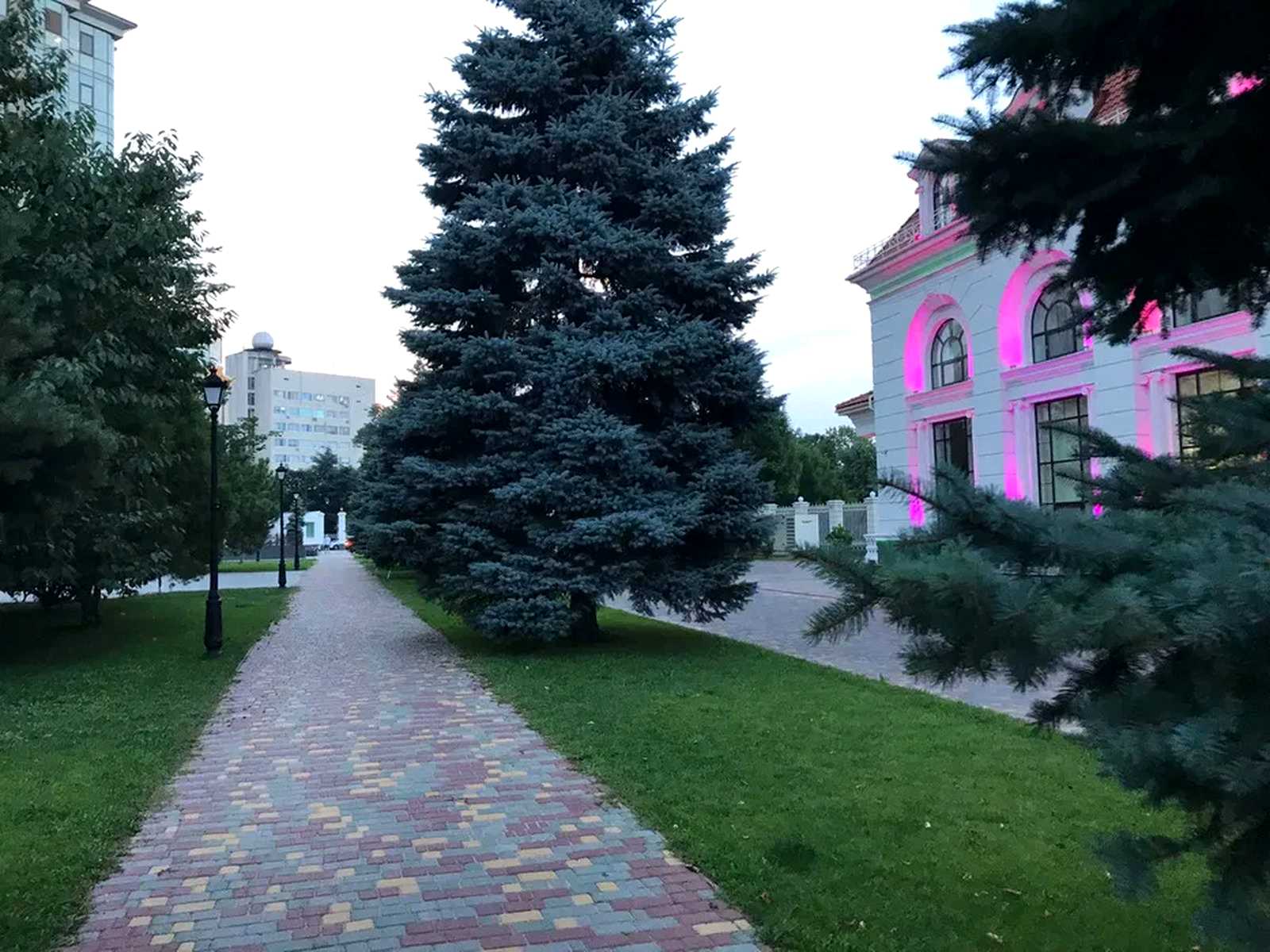 1879843721246388.jpg