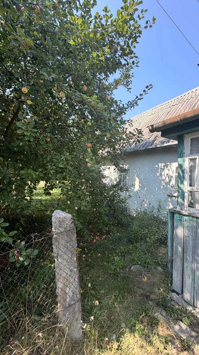 1879850651425751