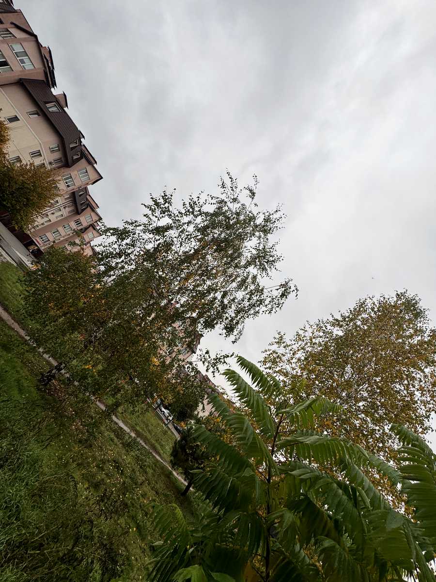 1879873337074052