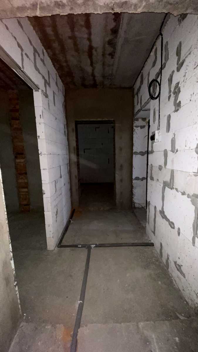 1880008127859174