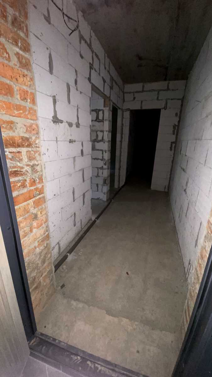 1880008654169237