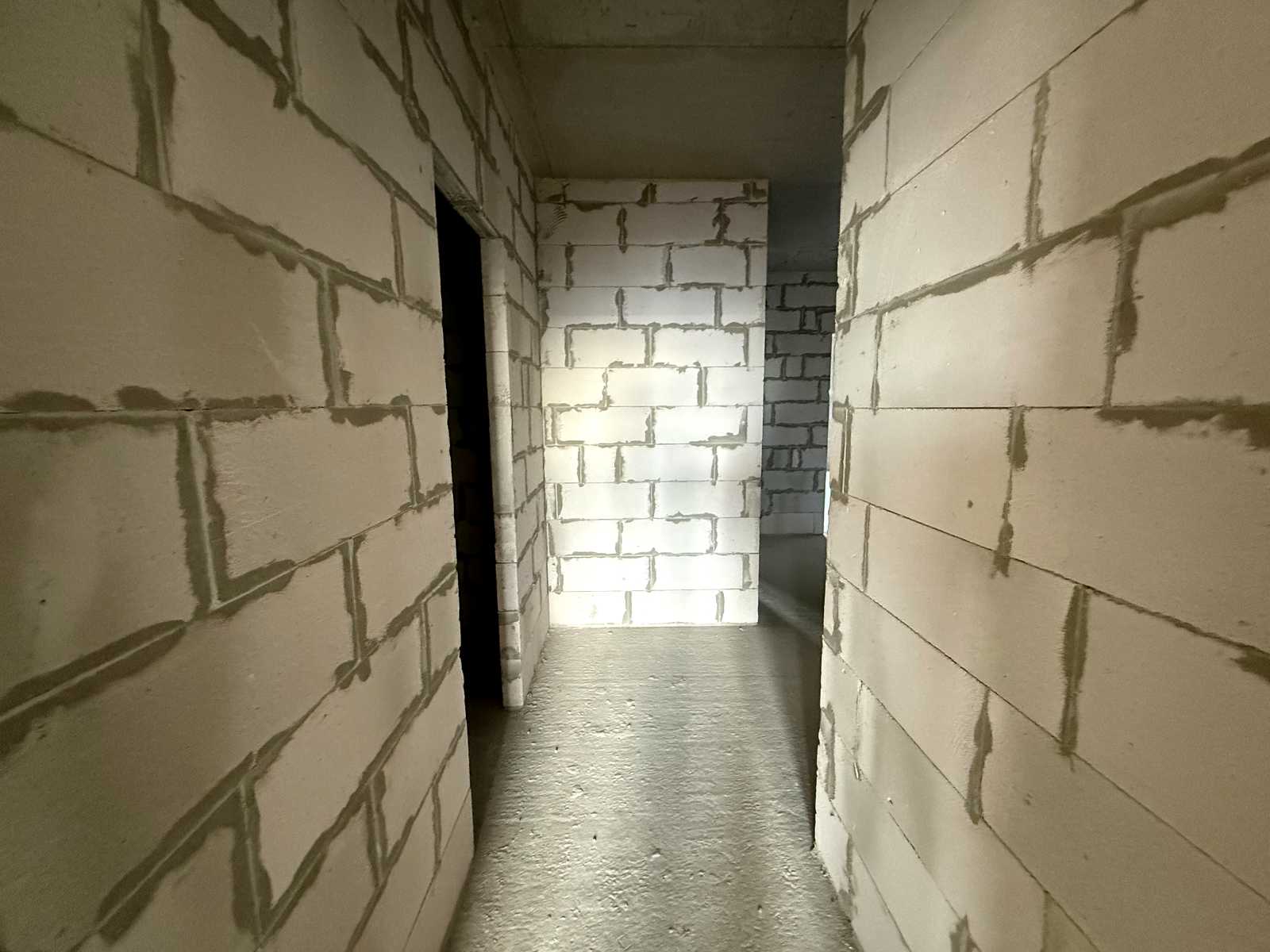 1880103692643231