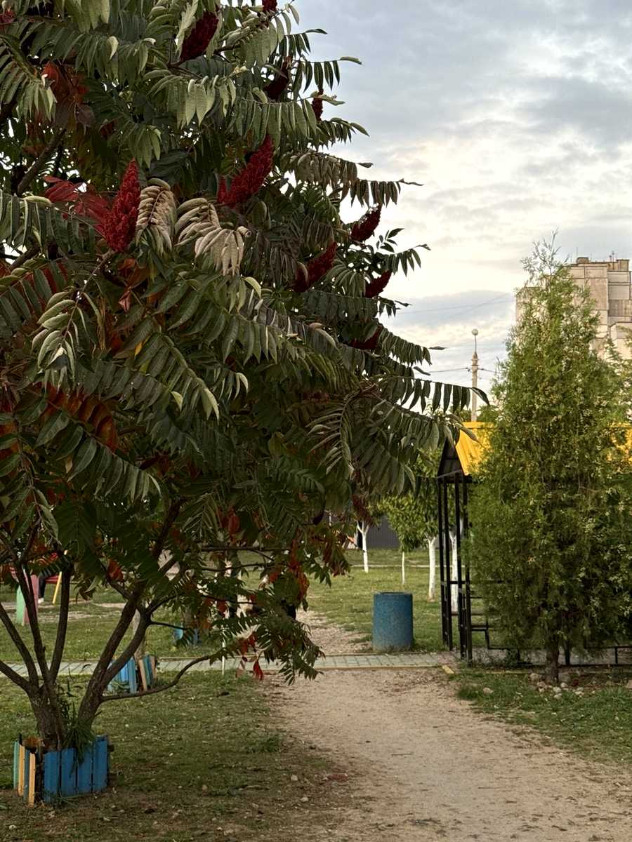 1880131745123674