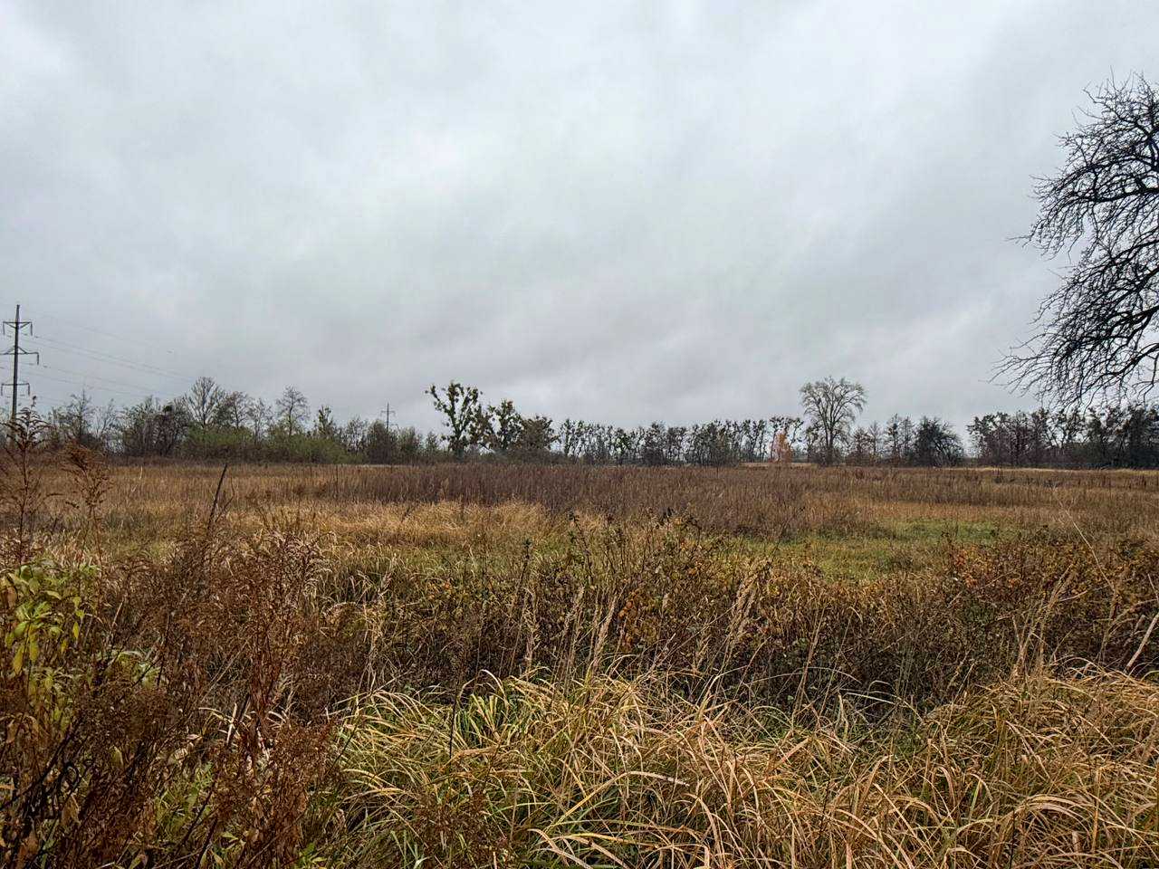 1880189586185175