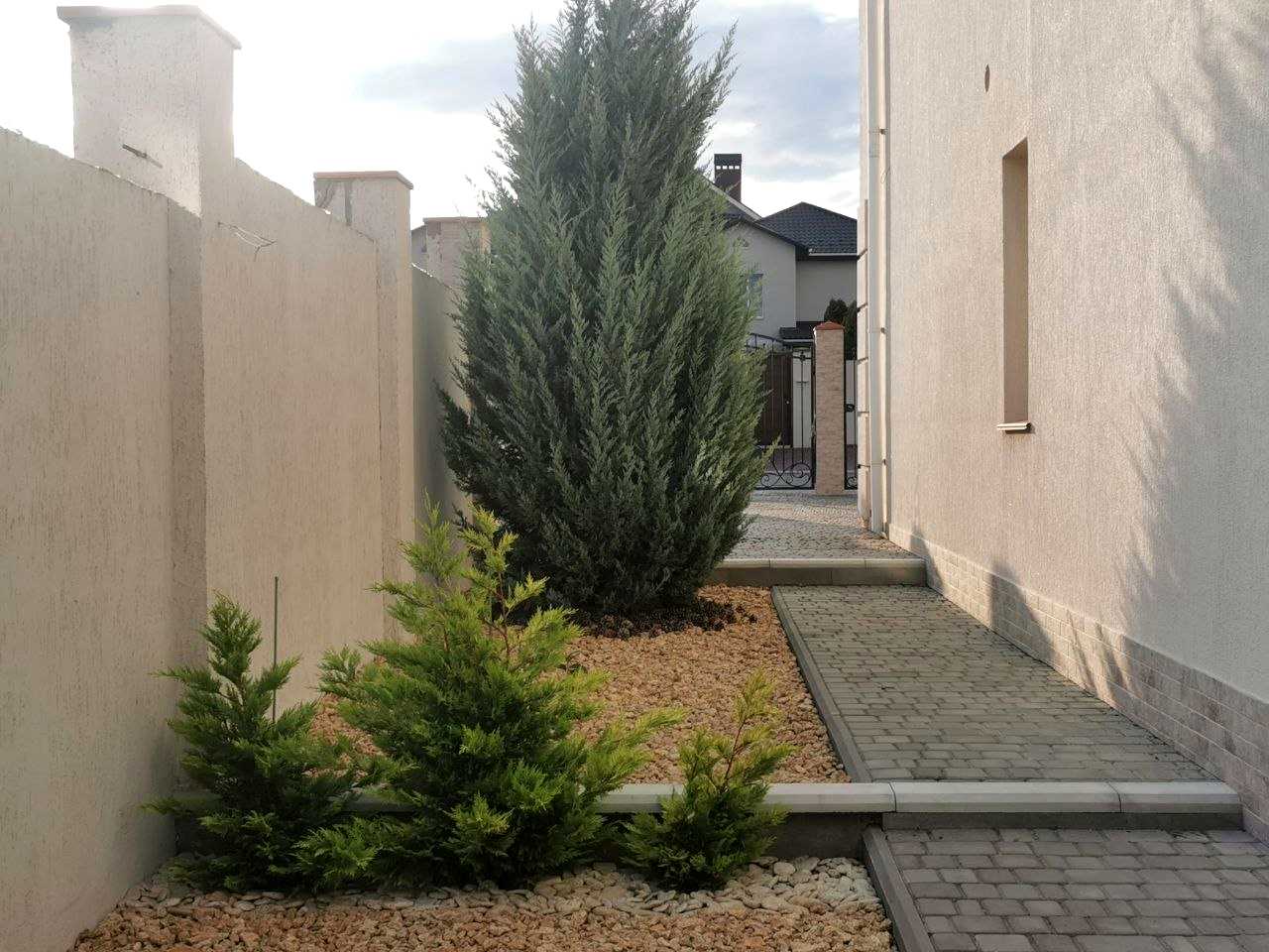 1880194319156507