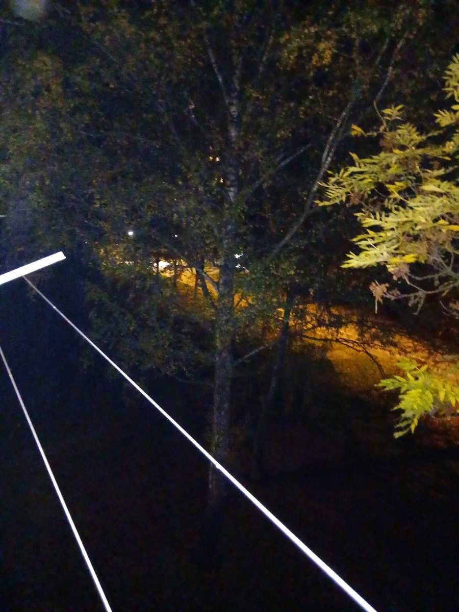 1880197162762447