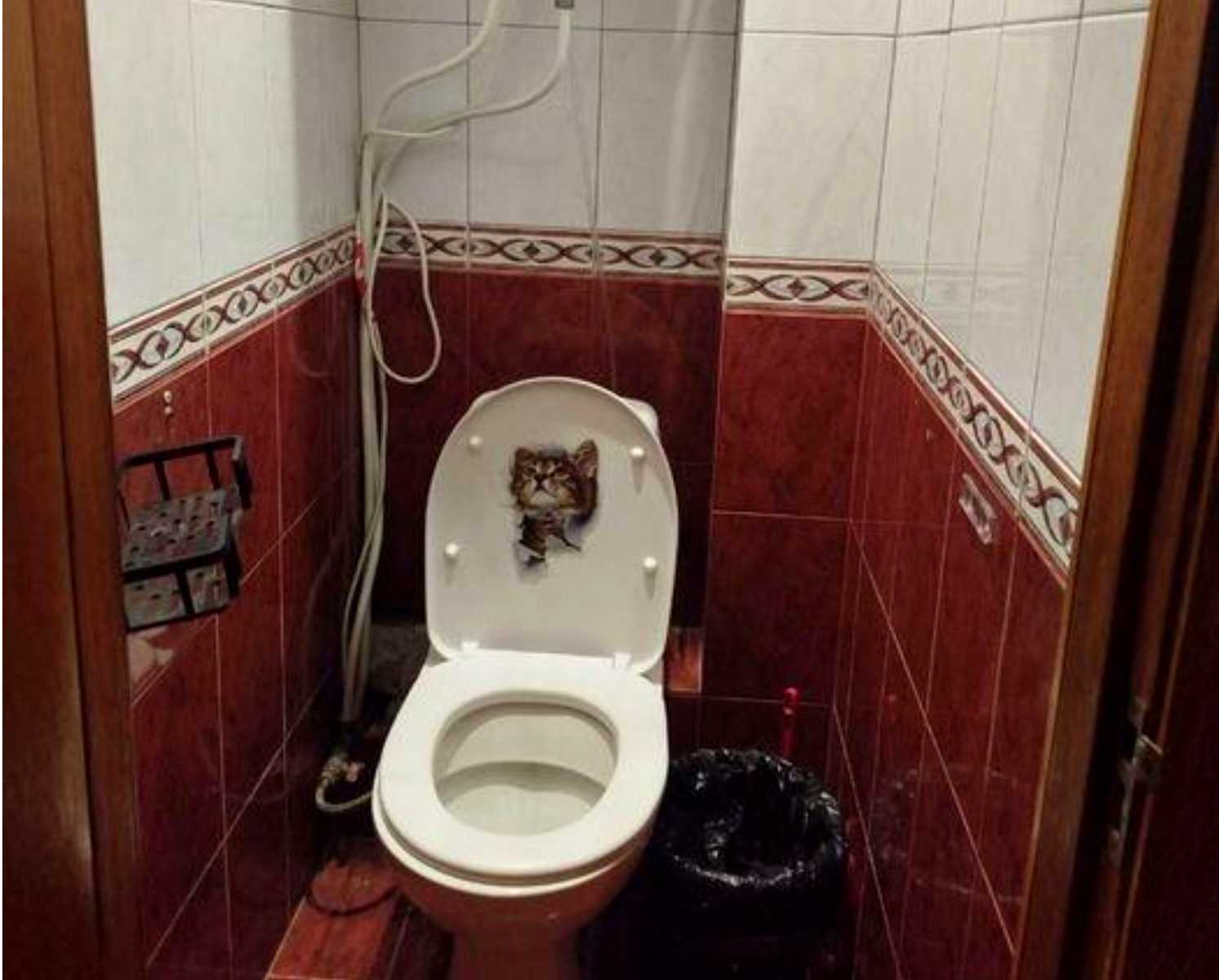 1880198582179843