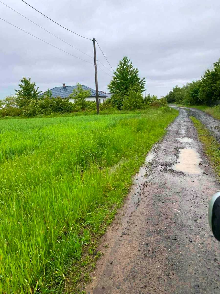 1880198748856731