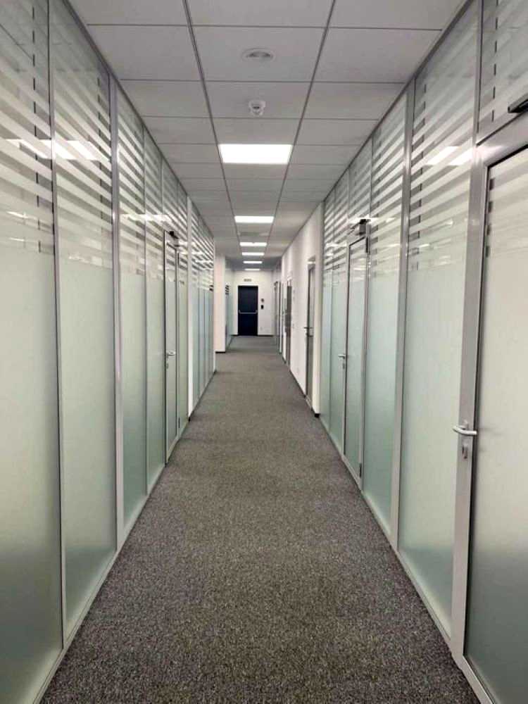 1880202908137699