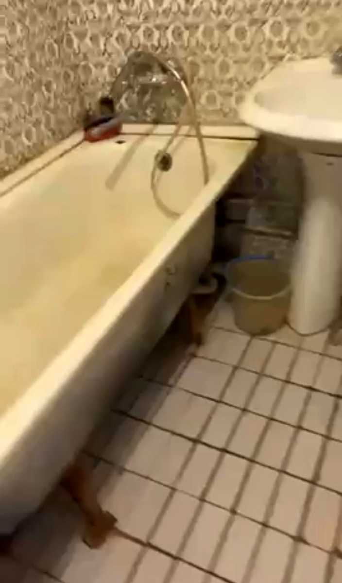 1880236259783028