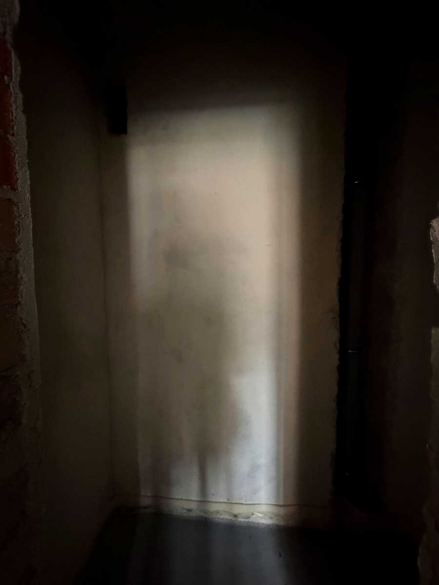 1880278781606818