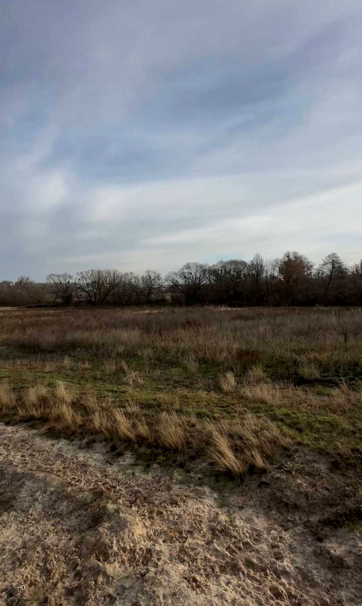 1880302727984598