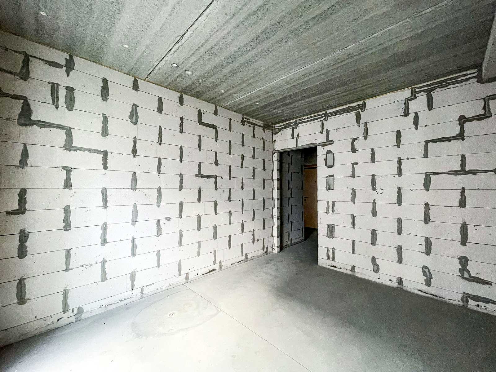 1880310365353566