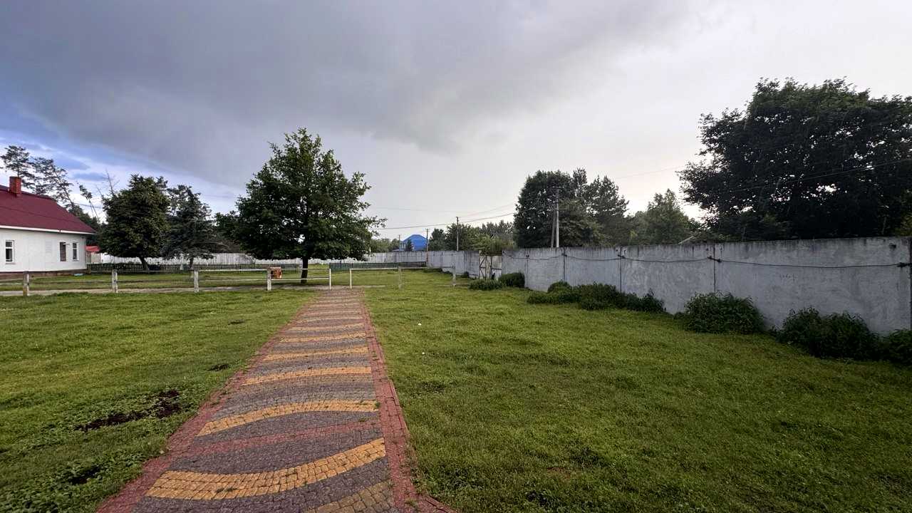 1880317532231763