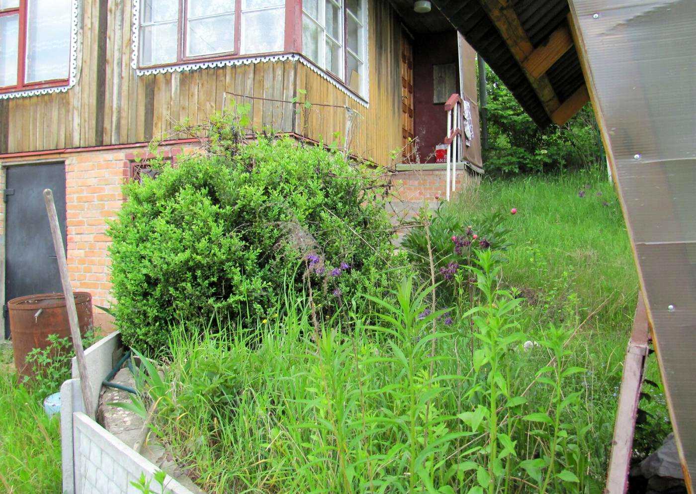 1880376034295168