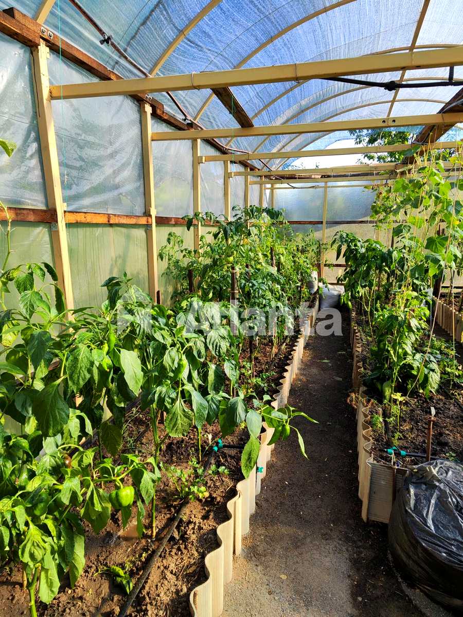 1880376438037731