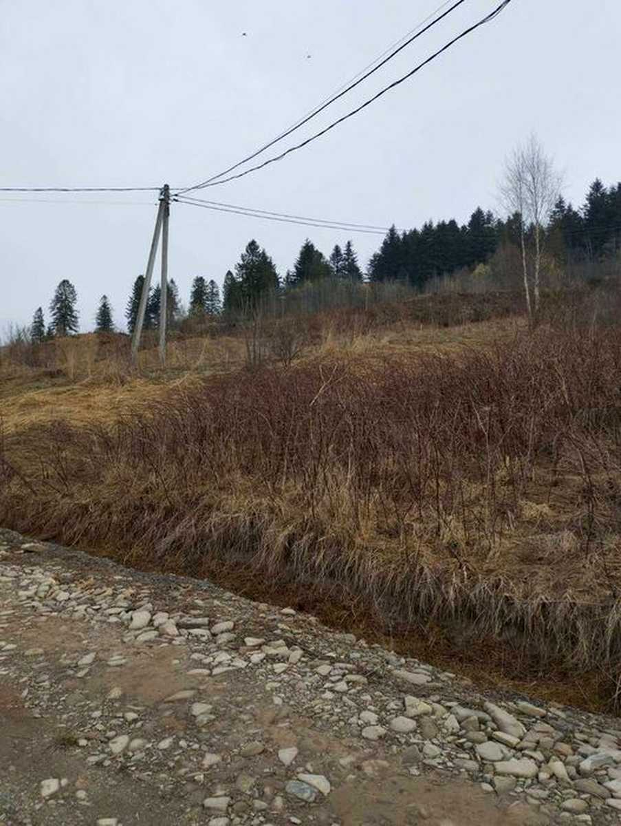 1880380318975142.jpg