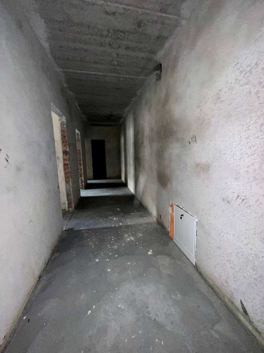 1880388920454029