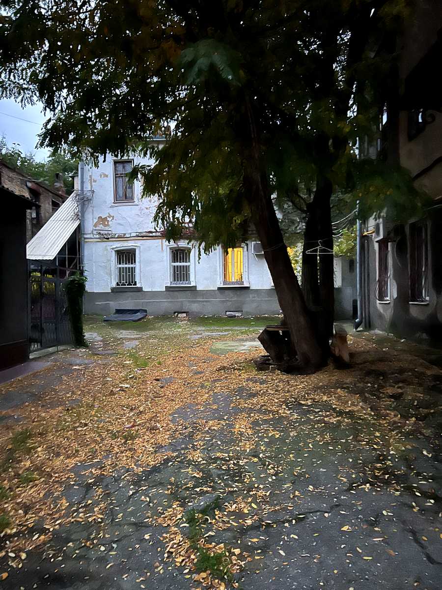 1880416194435616