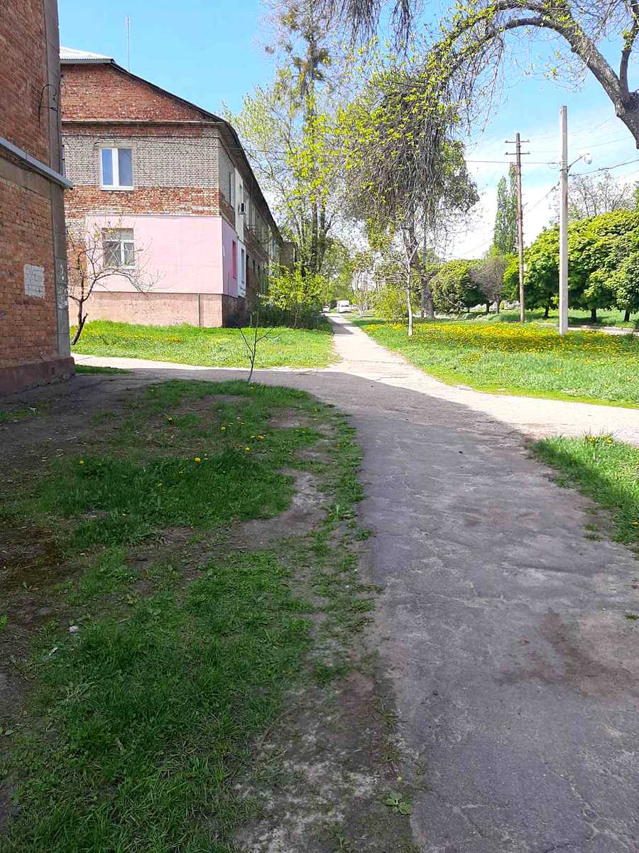 1794054946875091