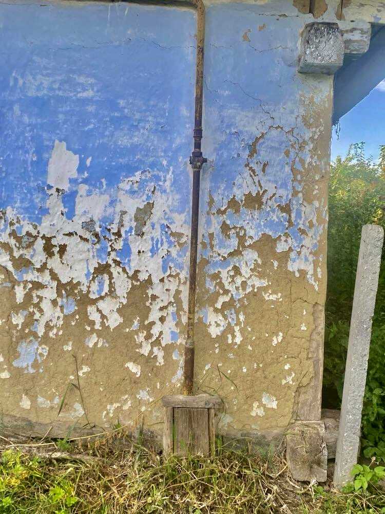 1843633384231173