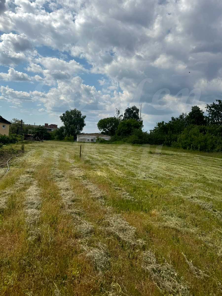 1799545002596669