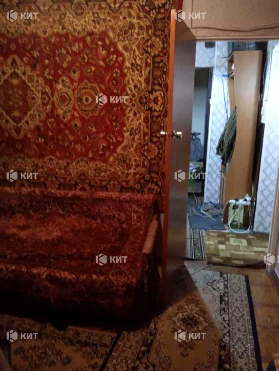 1850045058548982