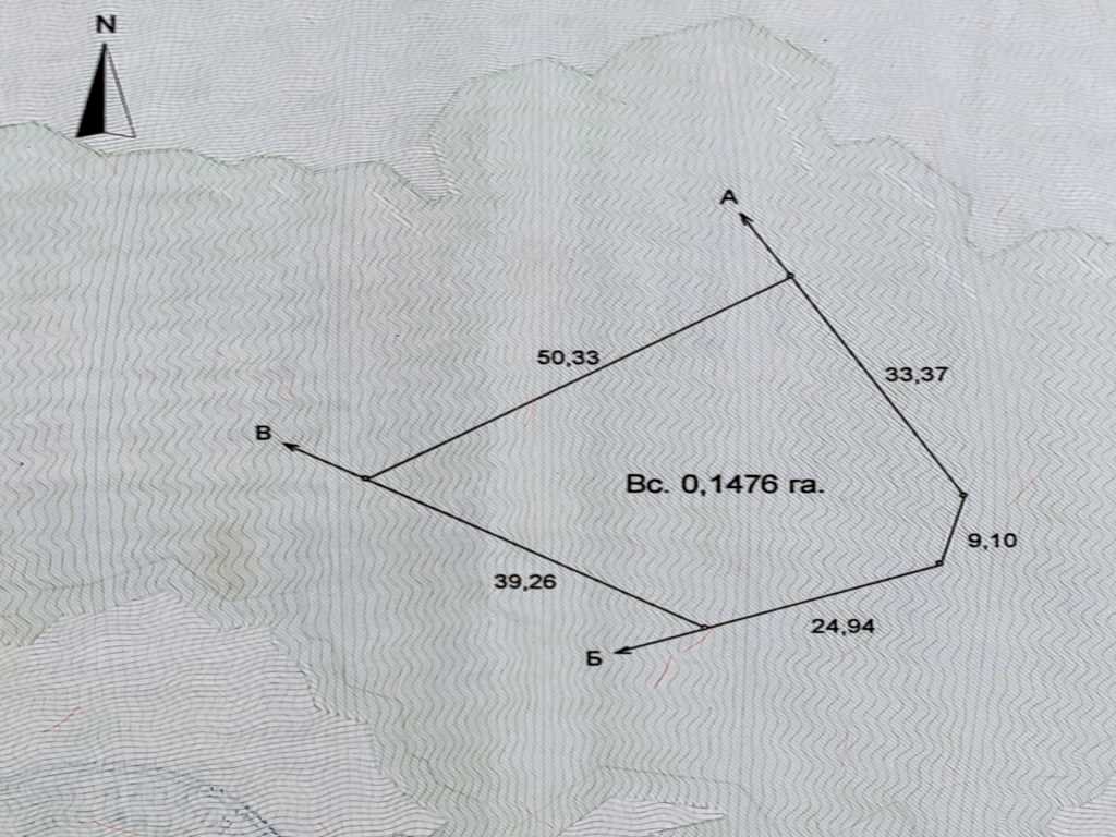 1848396142635648