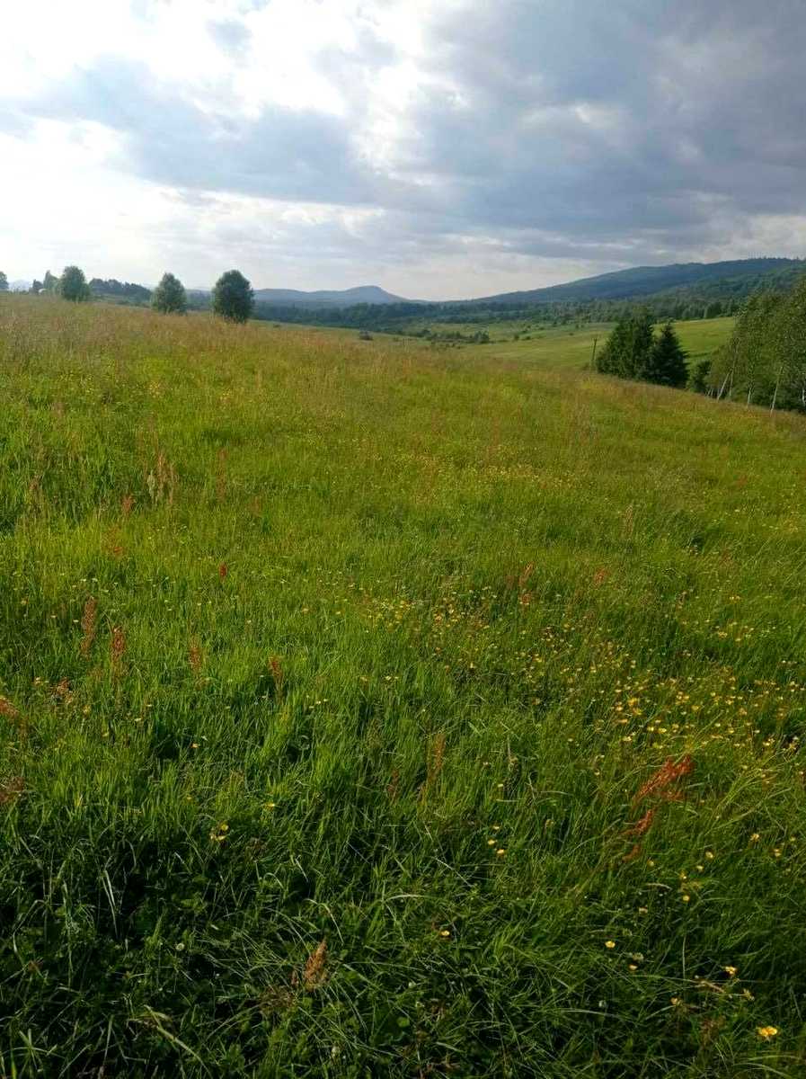 1839603508505196