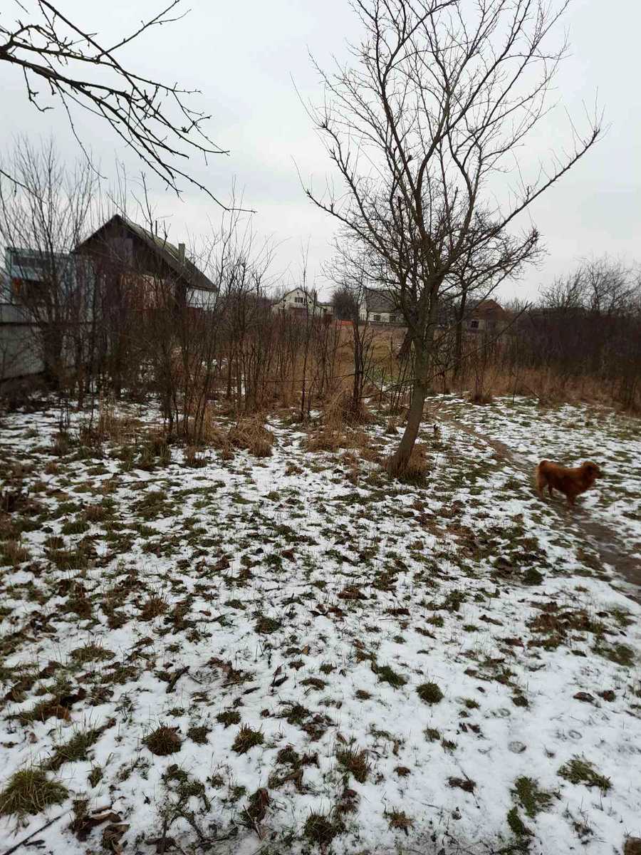 1790694372737025