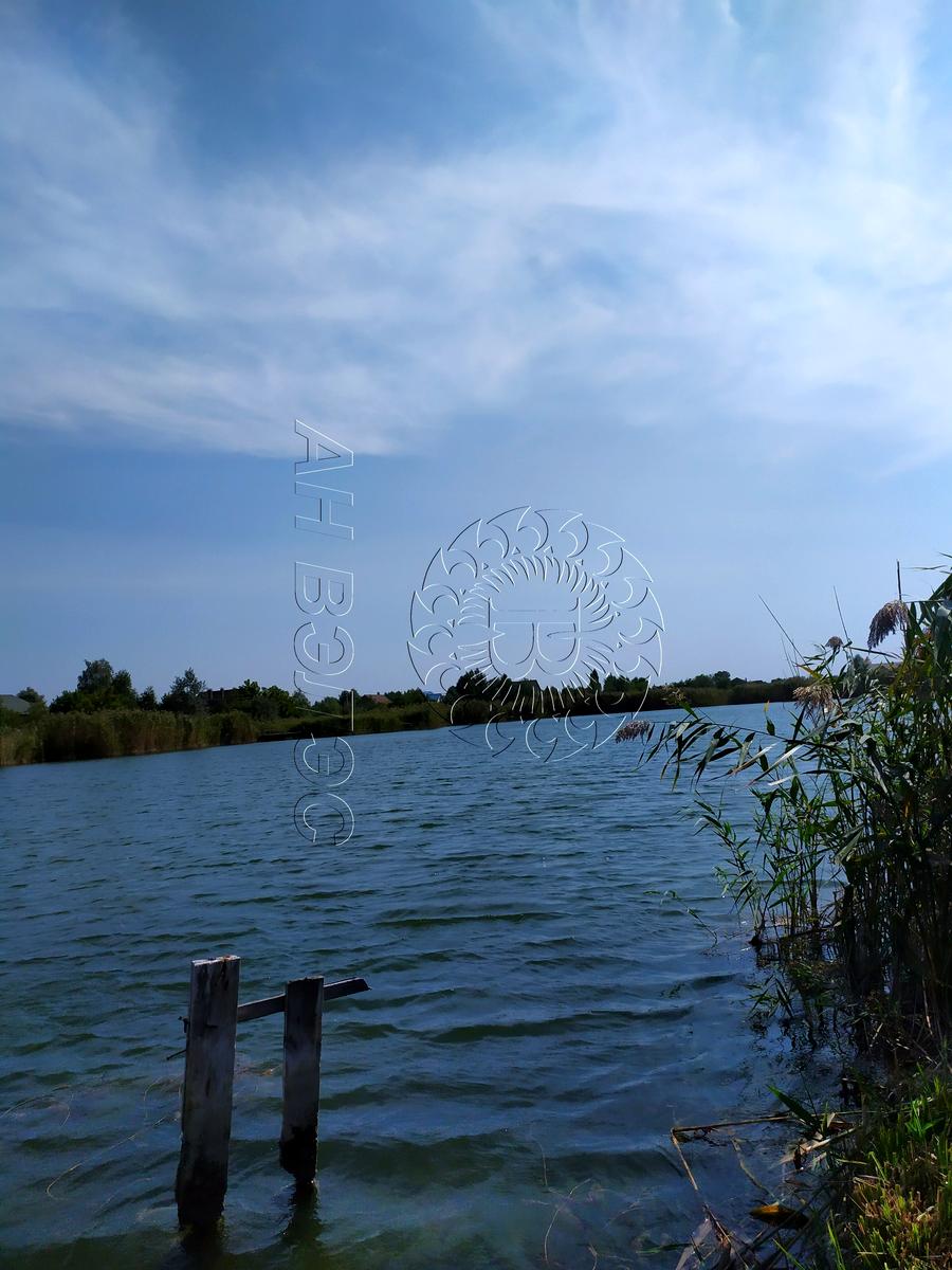 1696107502730225