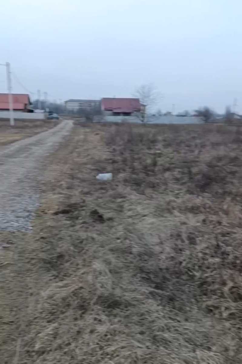 1823771538100339