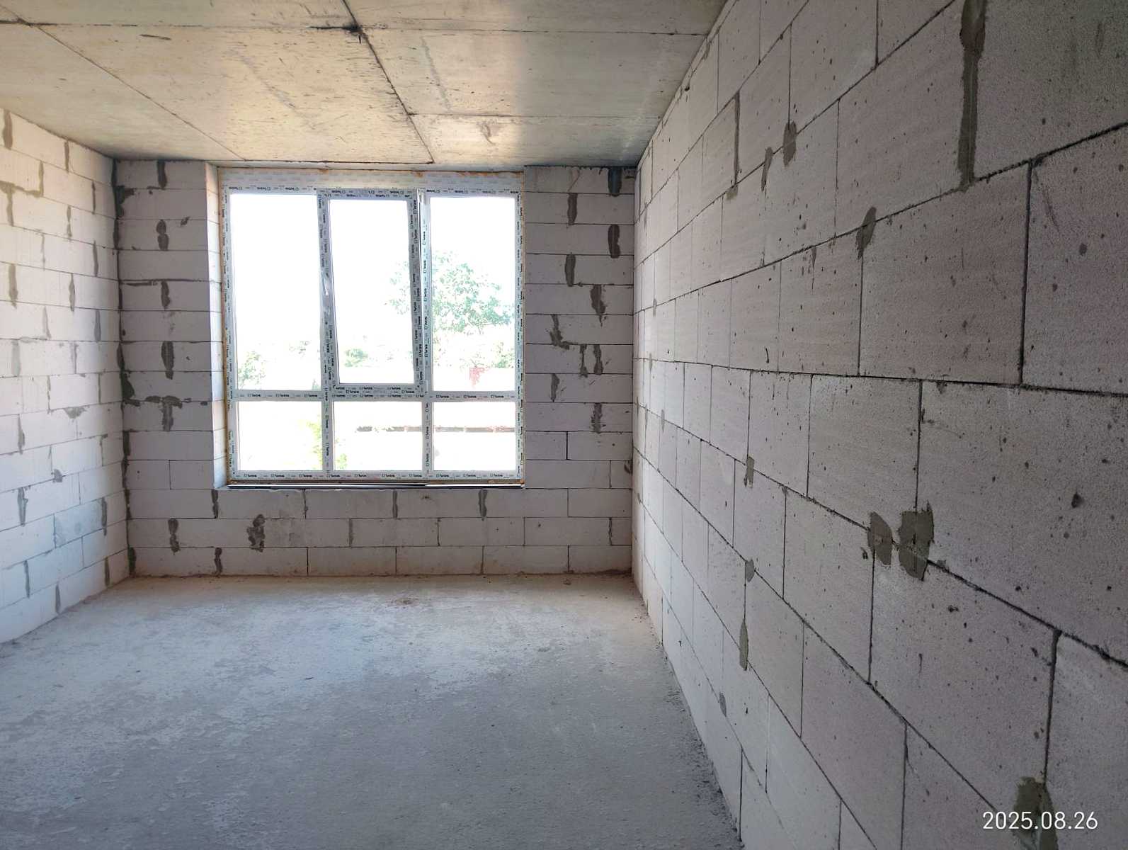1850772330696451
