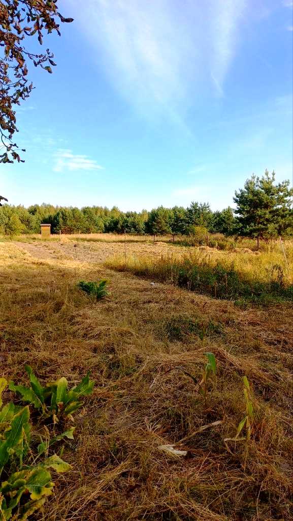 1844344033158181