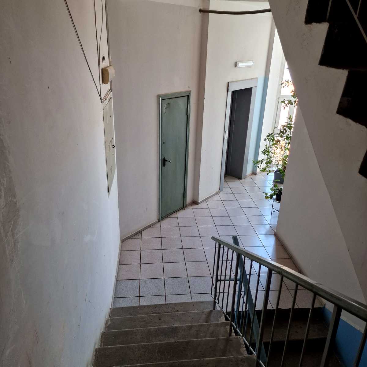 1829288994044630