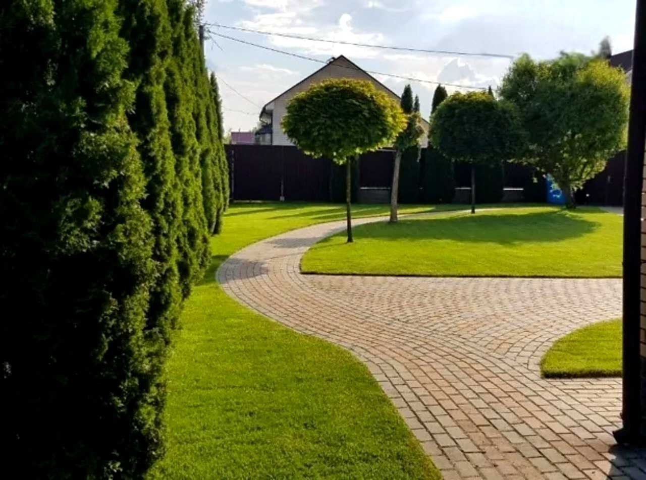 1849762141226144