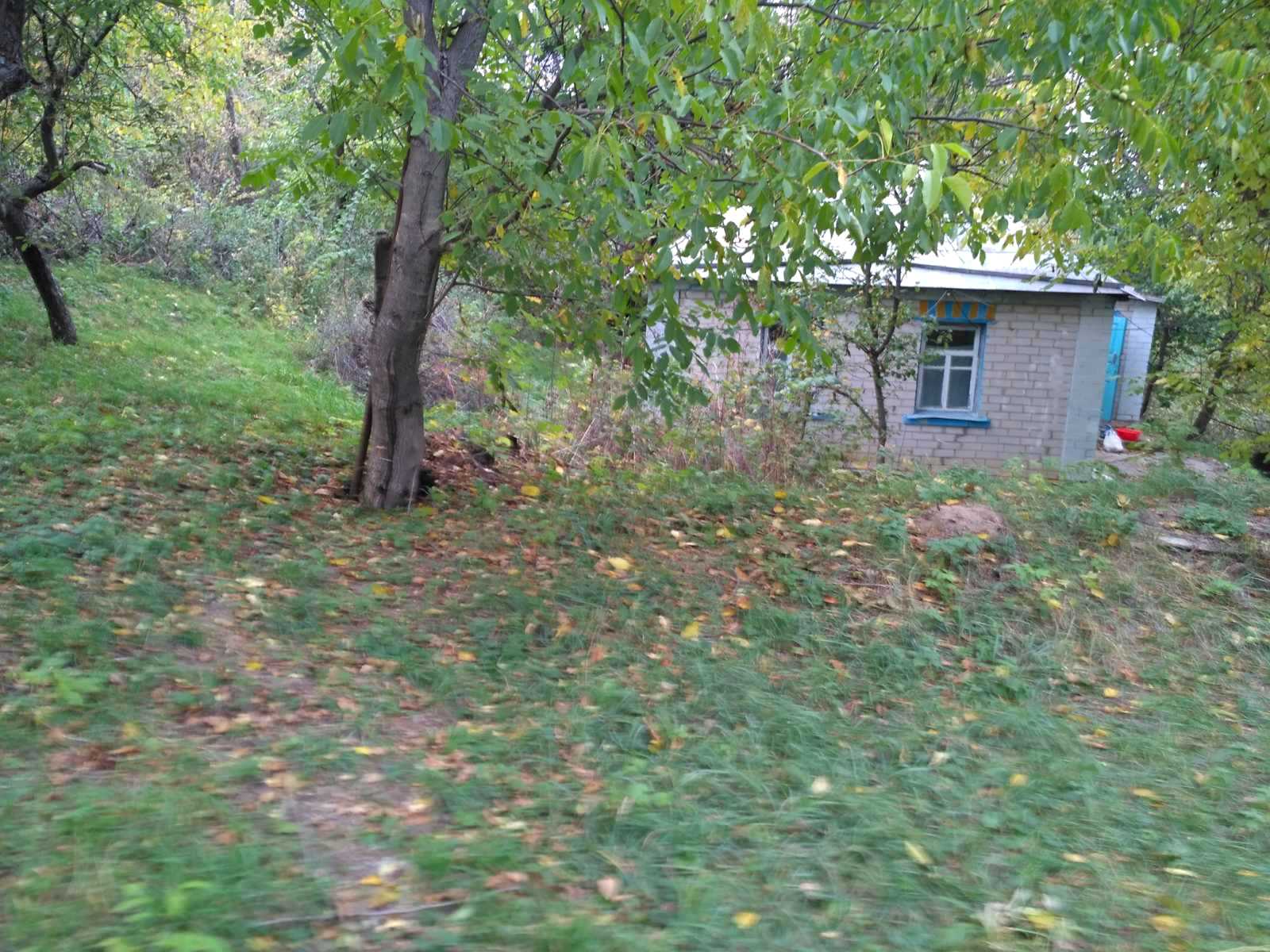 1745750772336358