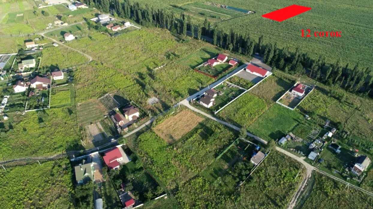 1696280826708516