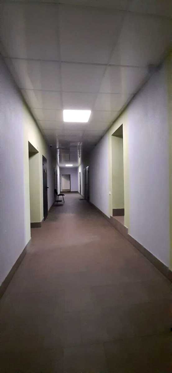1835355504605141