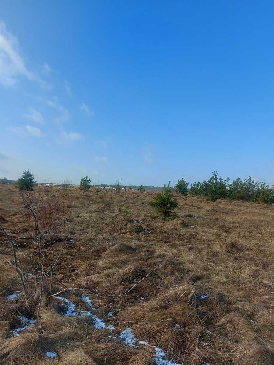 1772475159875252