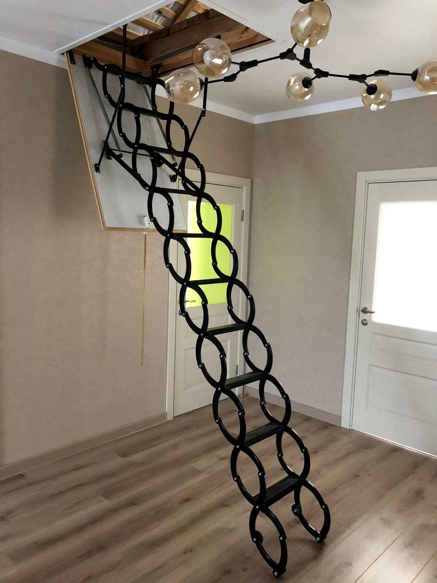 1845341420587872