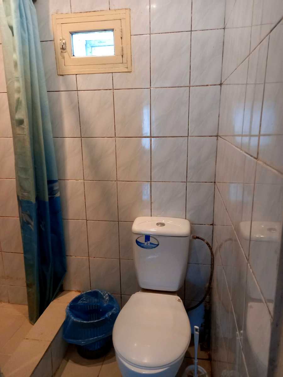 1748194779446558