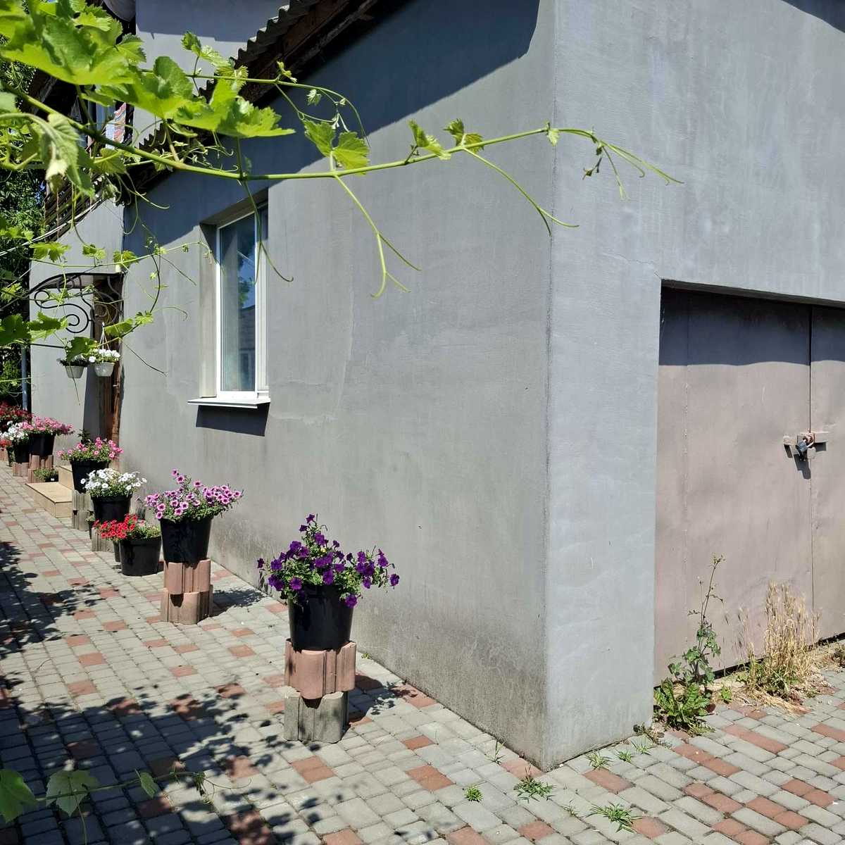 1837249236174272