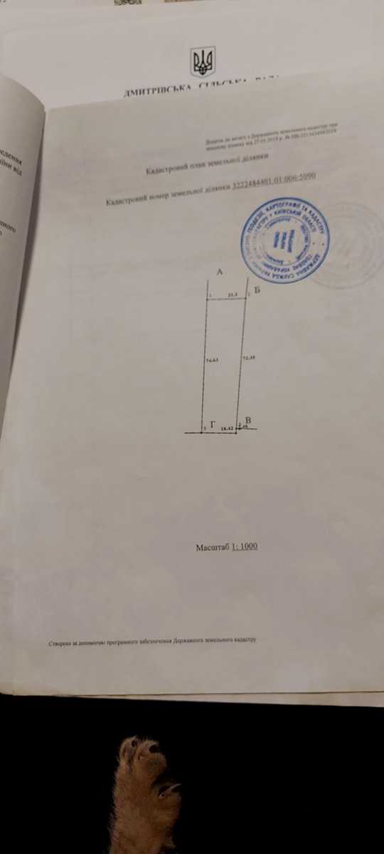 1812252924355289