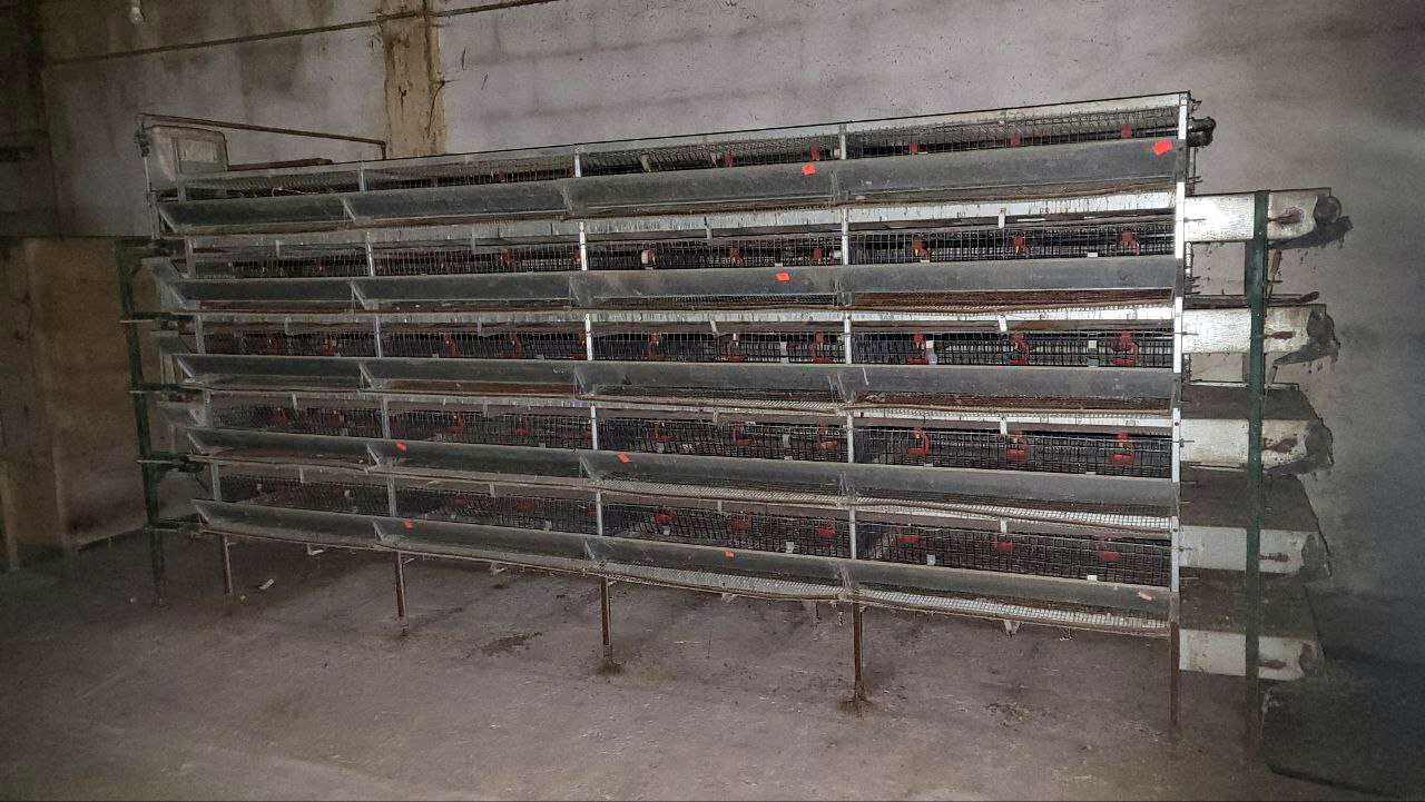 1825034093338804