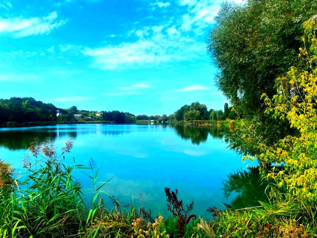 1807992430403499