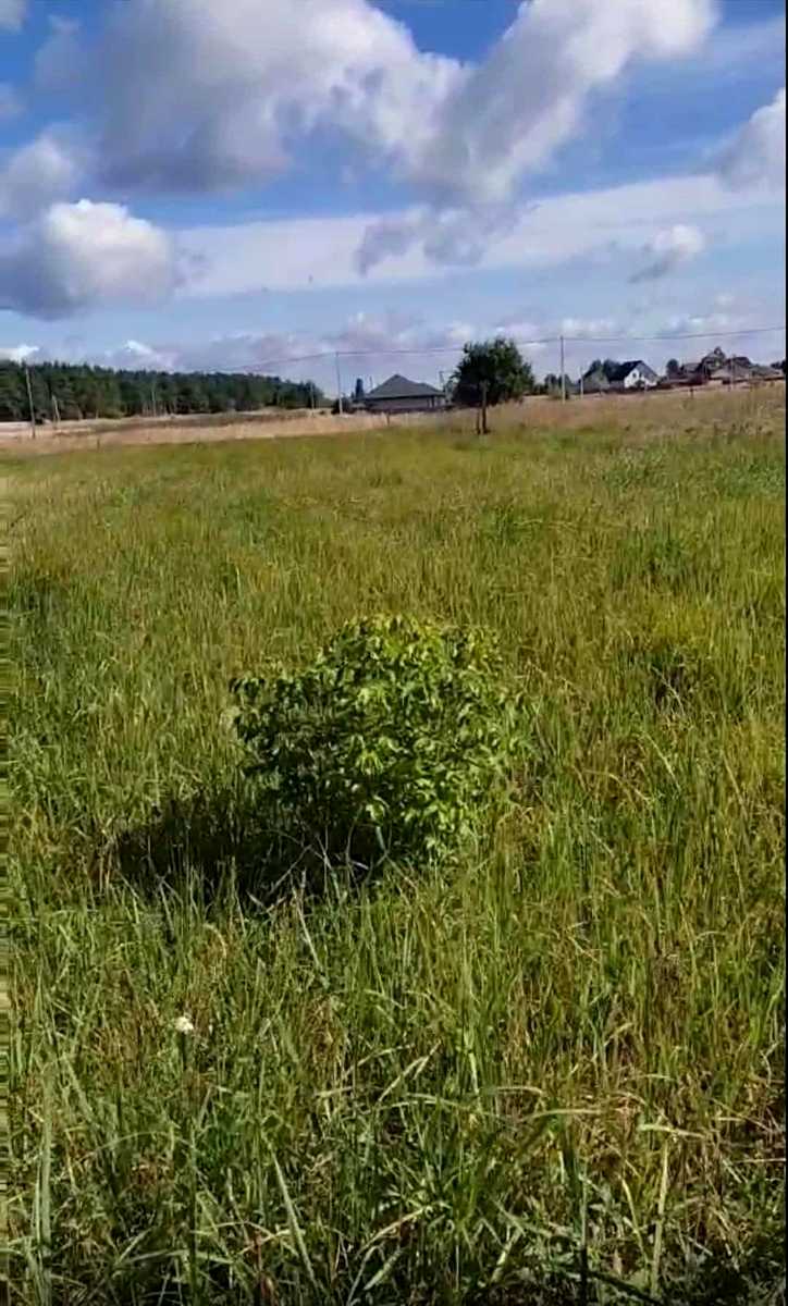 1848337062448299