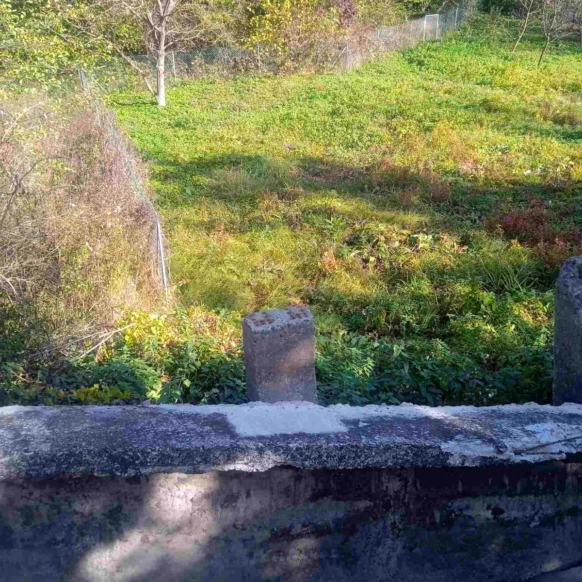 1849939501146253.jpg