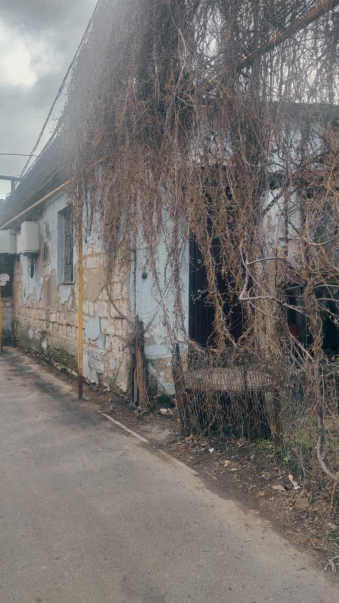 1794072255798463
