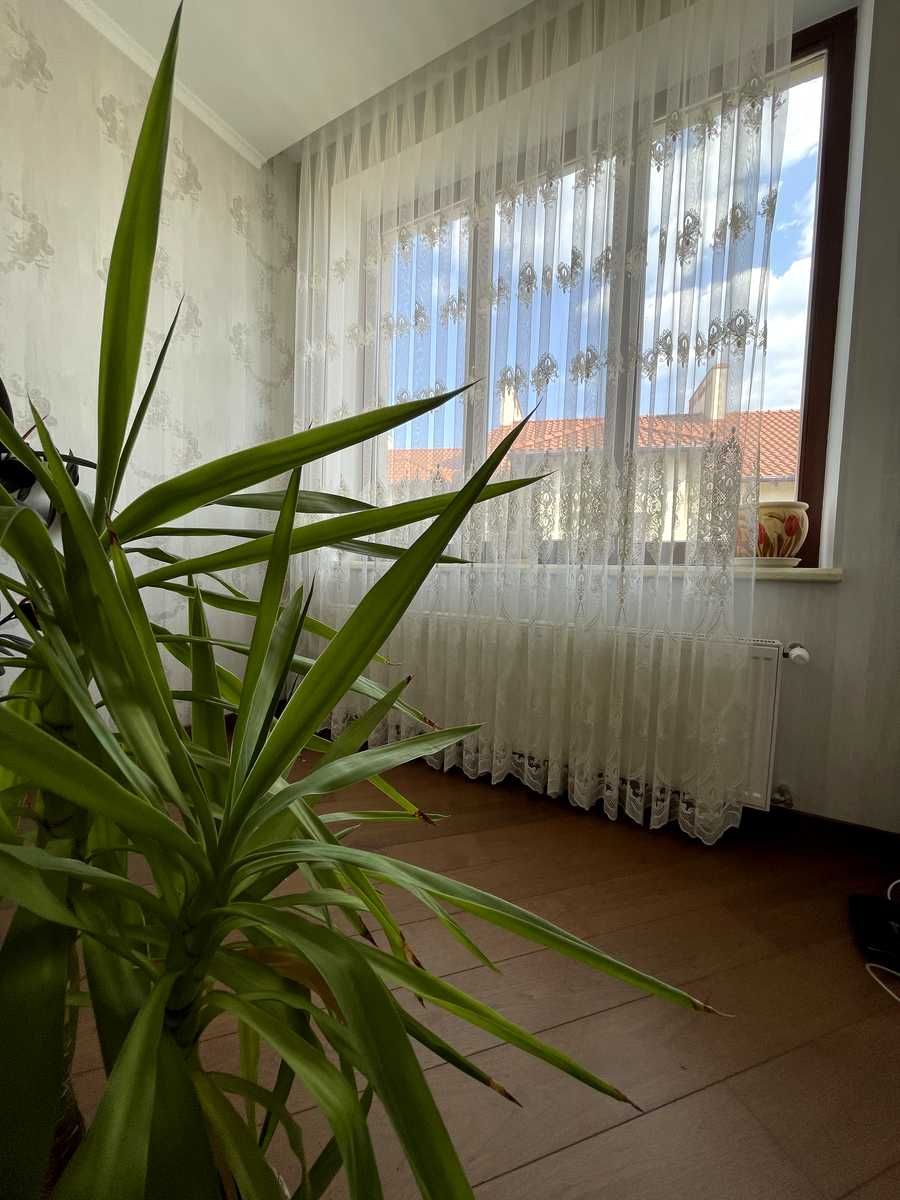 1768579837086307
